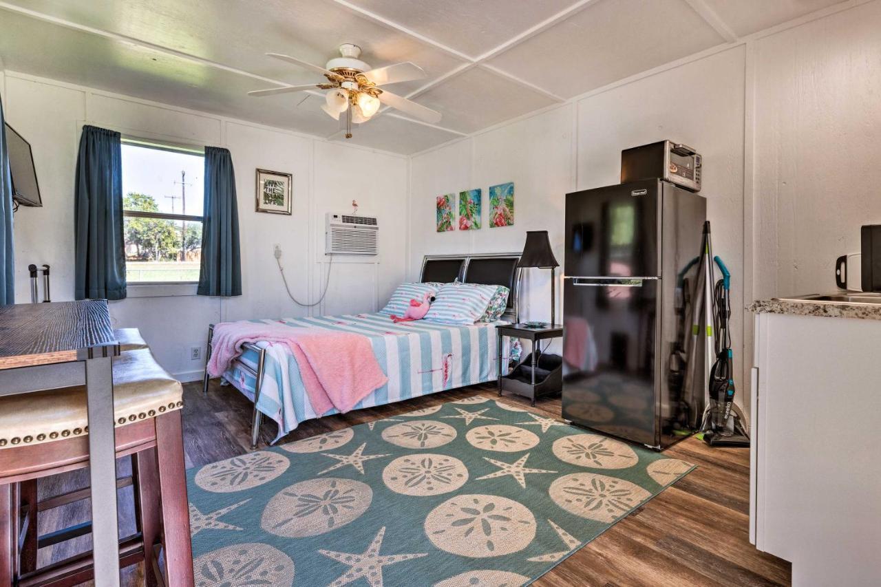 Flirty Flamingo Studio 1 Mi To Canyon Lake Bagian luar foto