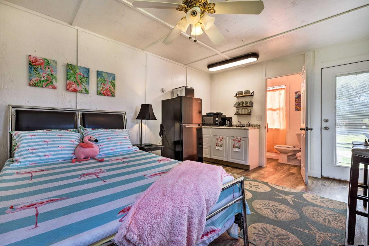 Flirty Flamingo Studio 1 Mi To Canyon Lake Bagian luar foto