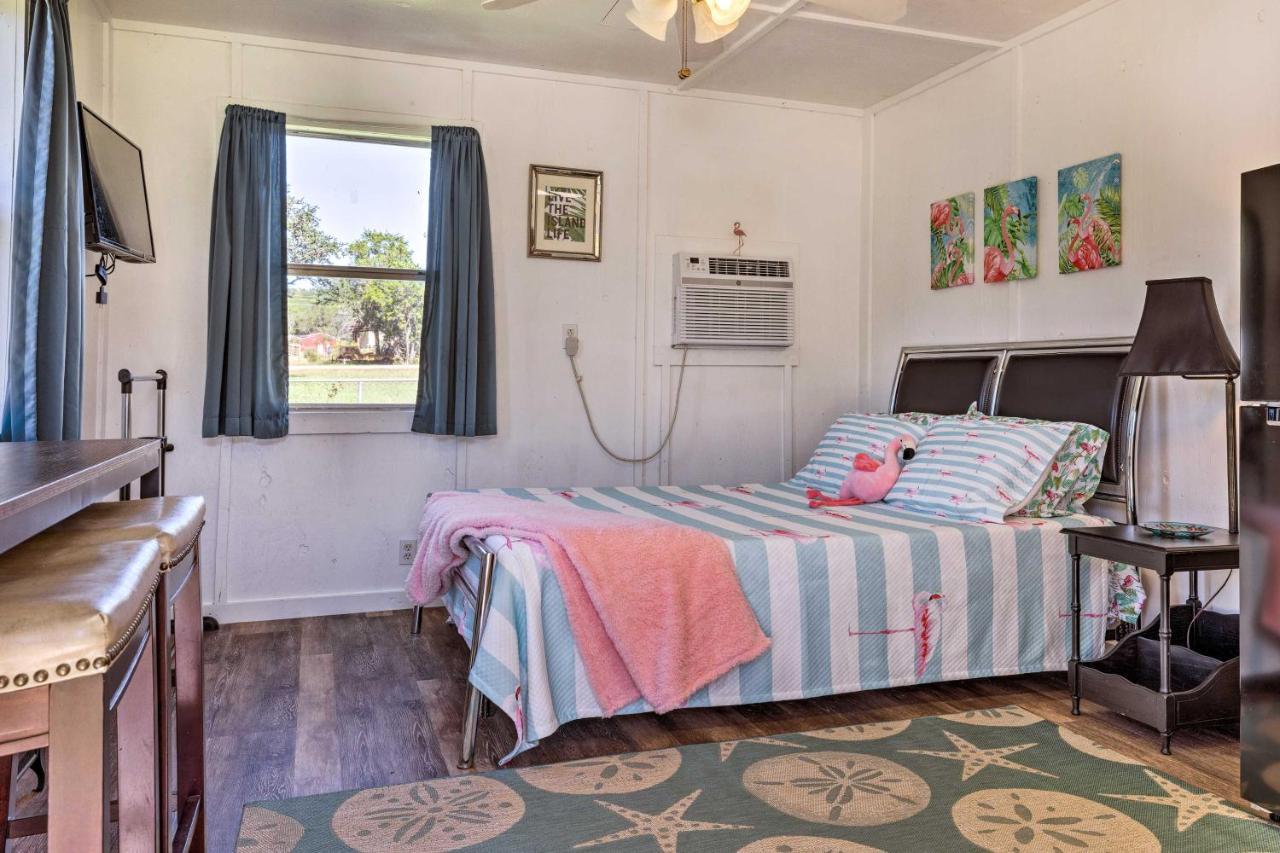 Flirty Flamingo Studio 1 Mi To Canyon Lake Bagian luar foto