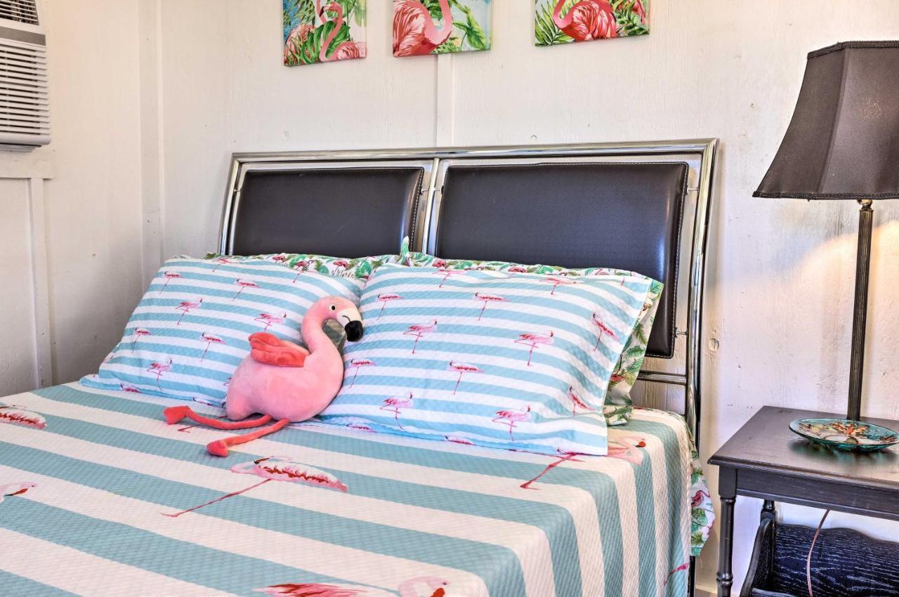 Flirty Flamingo Studio 1 Mi To Canyon Lake Bagian luar foto